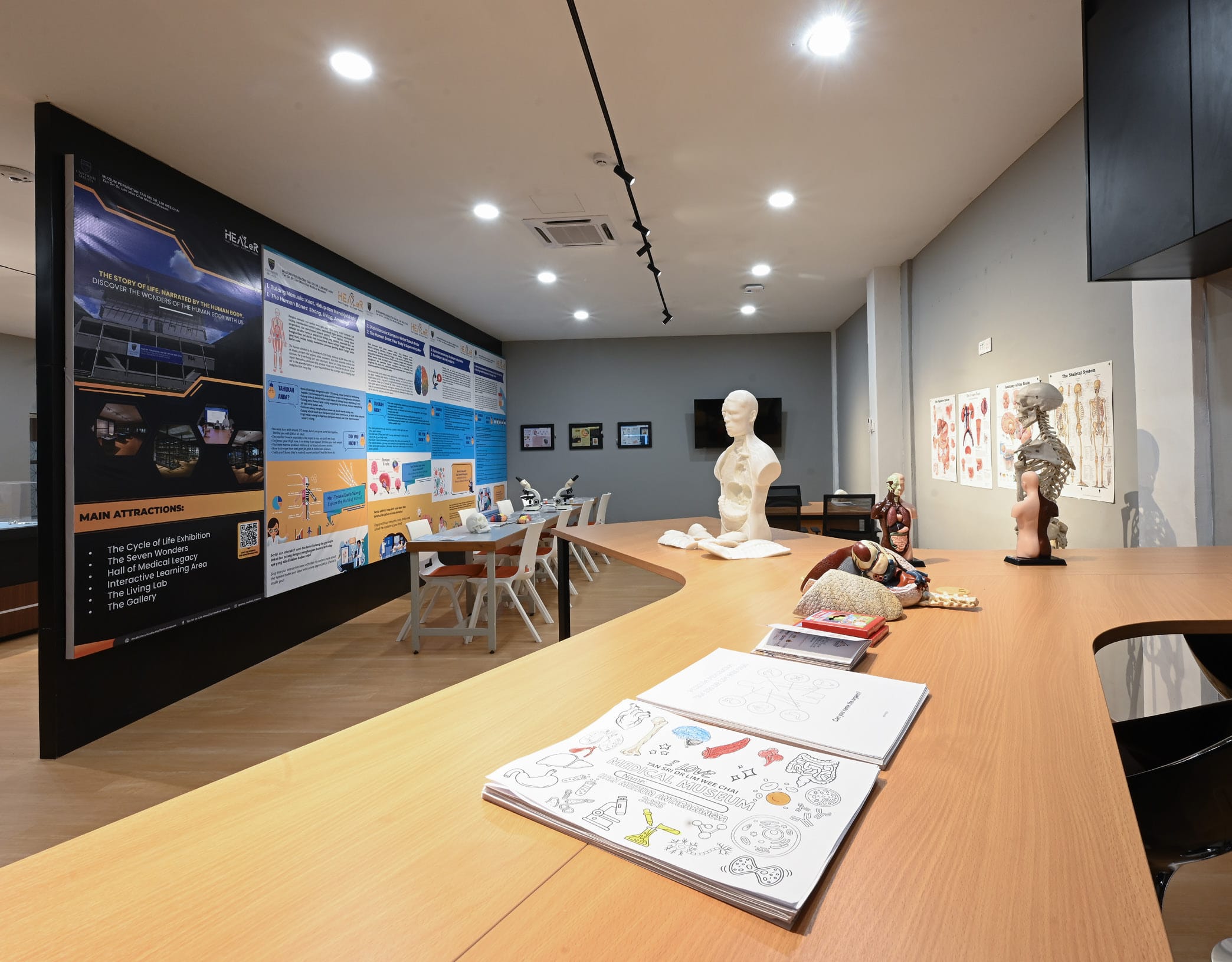 Interactive Learning Area inside the Tan Sri Dr Lim Wee Chai Medical Museum
